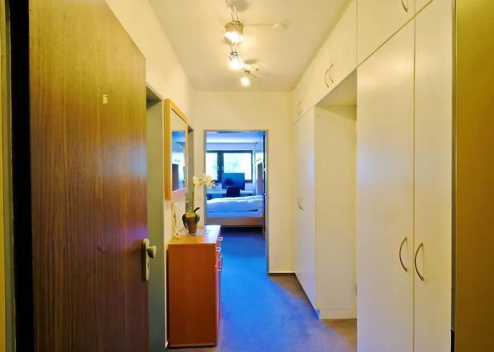 Goski & Gobike Netflix And Waiputv Free Apartament Winterberg