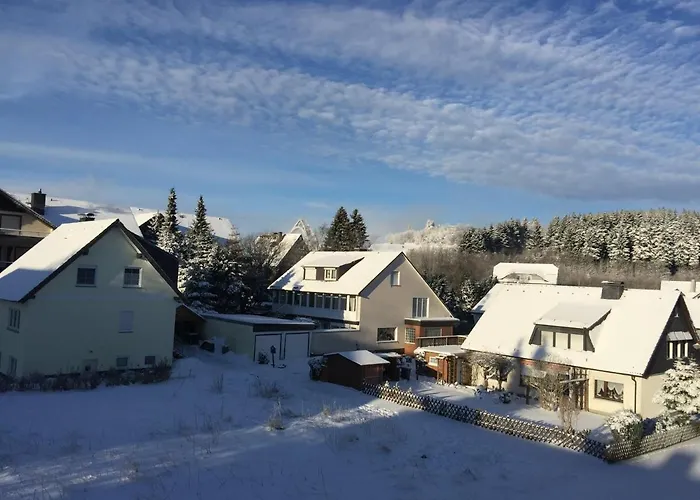 Apartament Goski & Gobike Netflix And Waiputv Free Winterberg